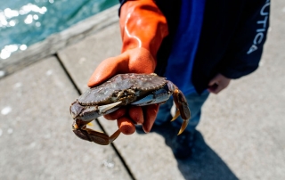 An image of someone crabbing in Newport, Oregon.