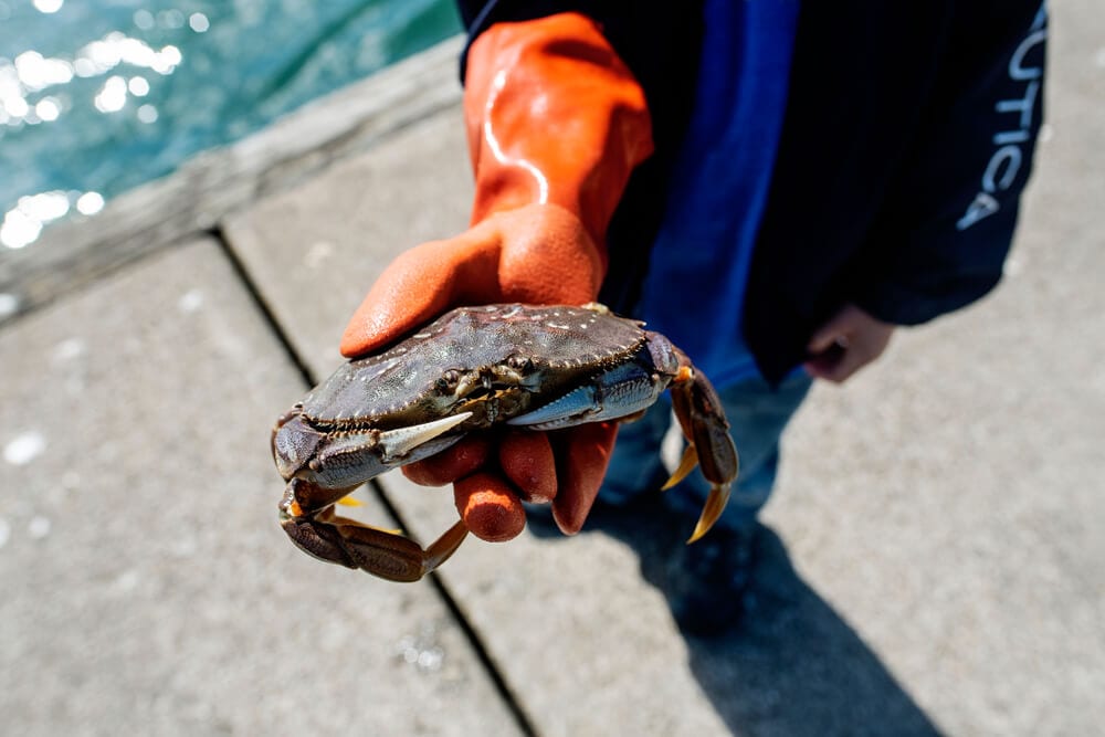 An image of someone crabbing in Newport, Oregon.