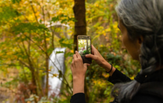 A photo of someone out looking at Oregon fall foliage.