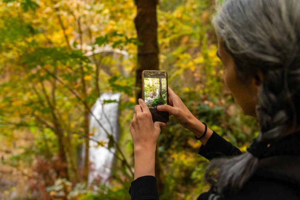 A photo of someone out looking at Oregon fall foliage.
