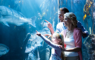 Visiting the aquarium like this family is one of the best things to do in Newport with kids.