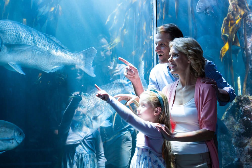 Visiting the aquarium like this family is one of the best things to do in Newport with kids.