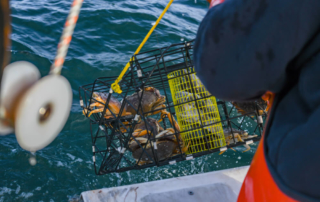 A man crabbing in Newport.