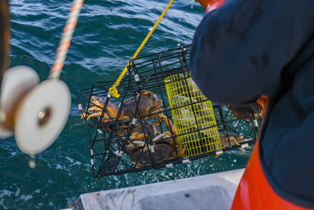 A man crabbing in Newport.