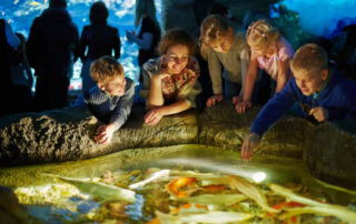 A family visiting the aquarium during their Oregon spring break trip.