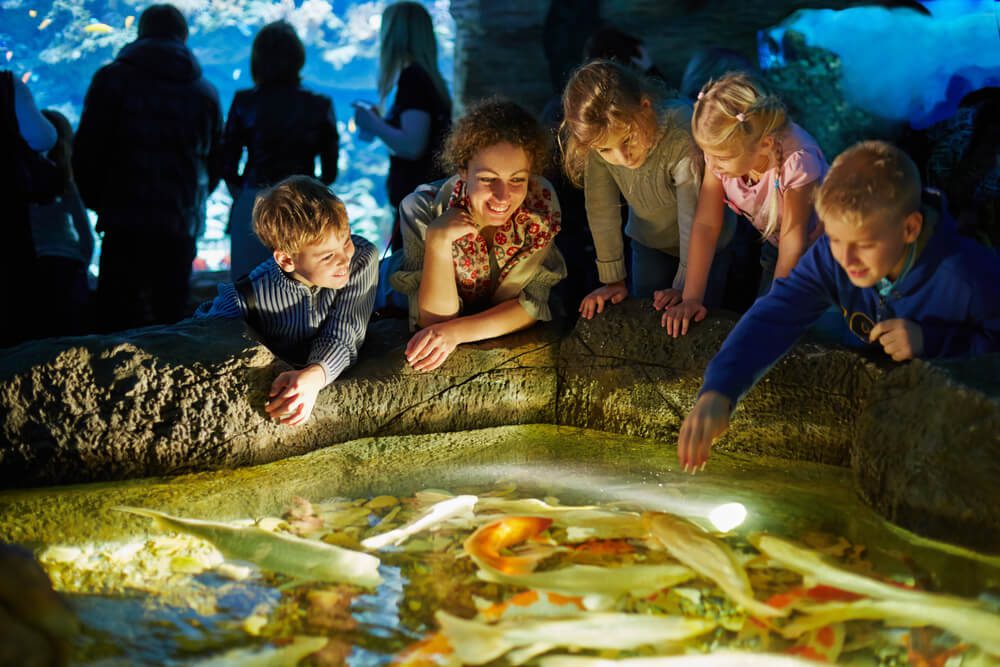 A family visiting the aquarium during their Oregon spring break trip.