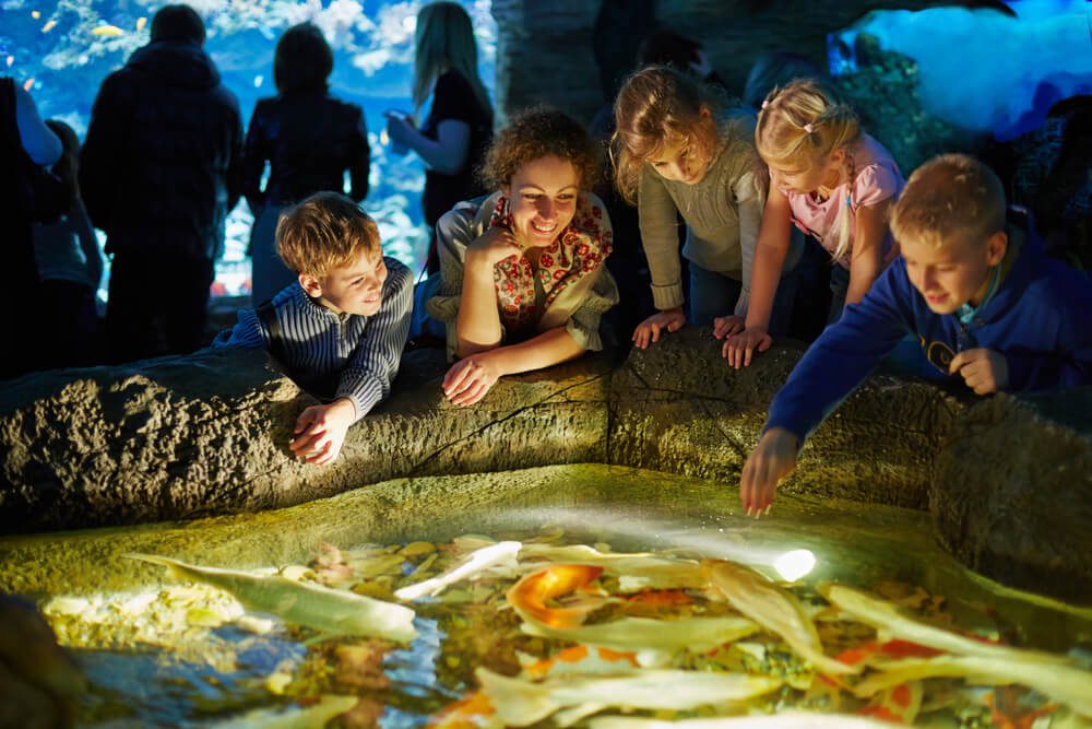 Oregon Spring Break Things to Do in Newport Embarcadero Resort