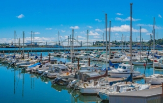 Boats at a Newport marina.