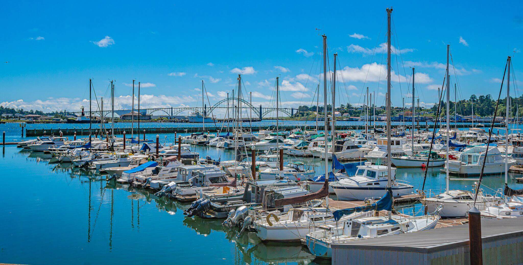 Boats at a Newport marina.