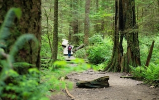 A person hiking in the Oregon outdoors.