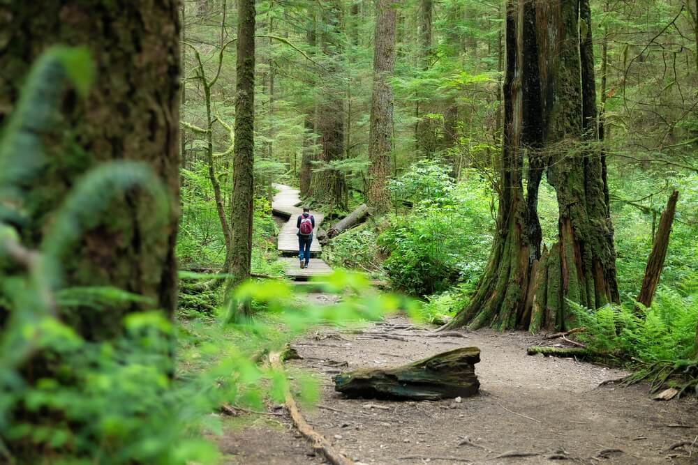 A person hiking in the Oregon outdoors.