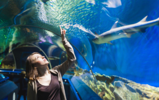 A woman looking at sharks in the Newport aquarium.