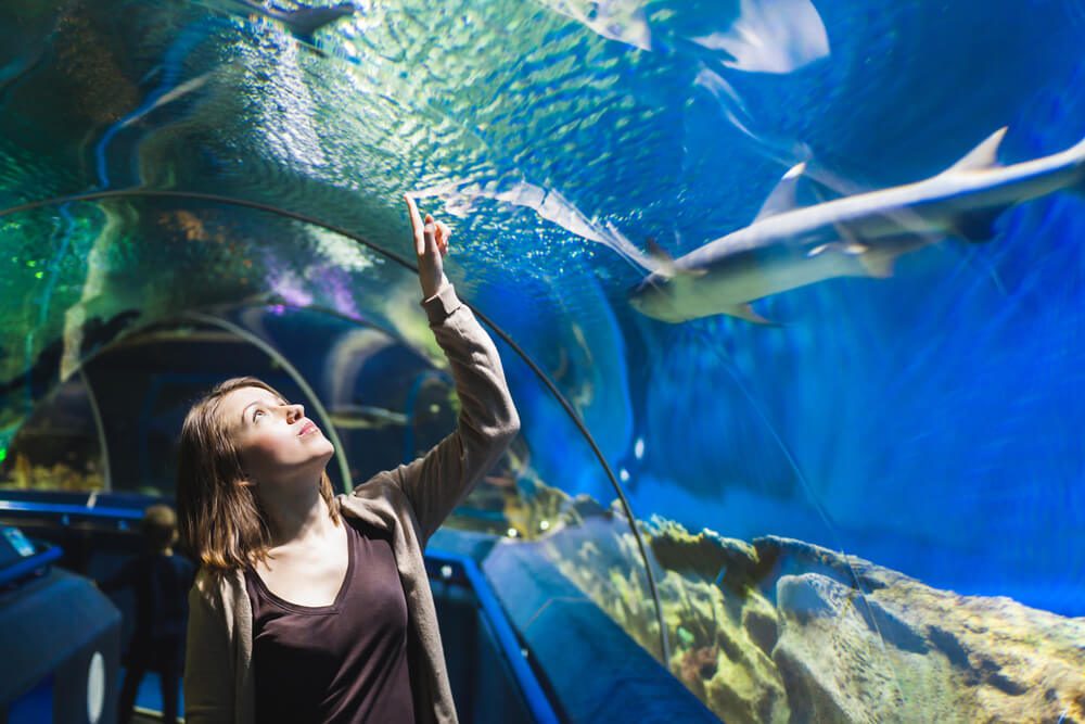 A woman looking at sharks in the Newport aquarium.