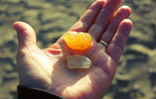 A person agate hunting on the Oregon coast.