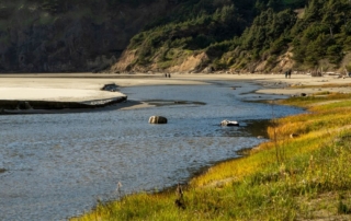 People in the distance walking on a beach in Newport, Oregon.