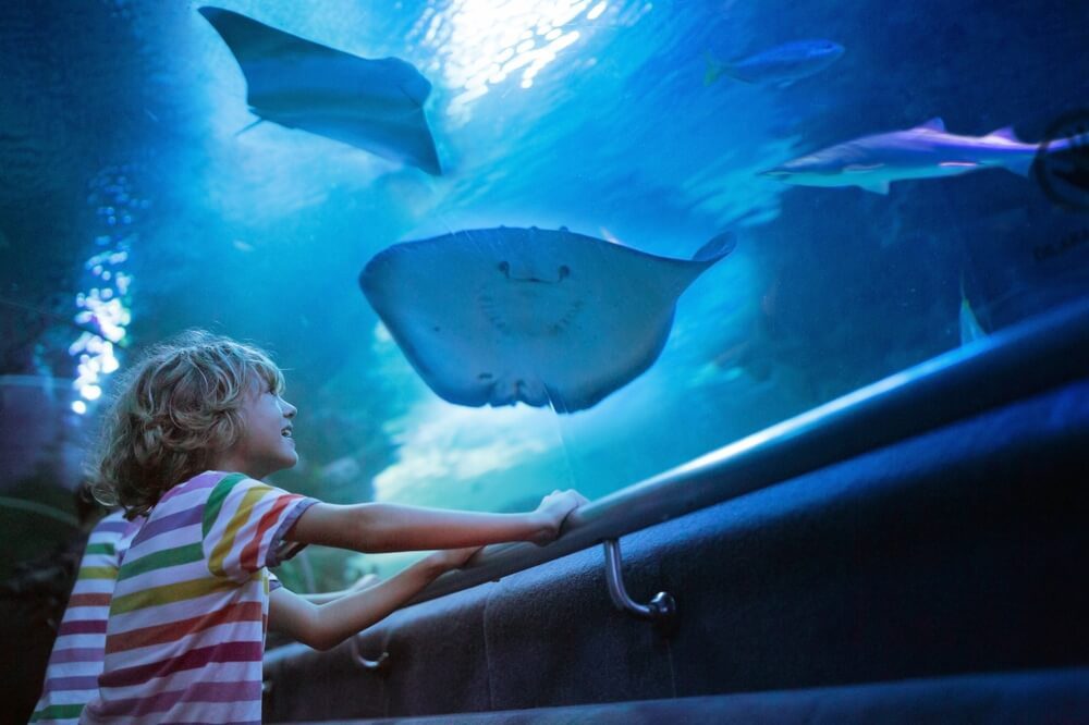 A kid in an aquarium, one of the best indoor things to do in Newport.